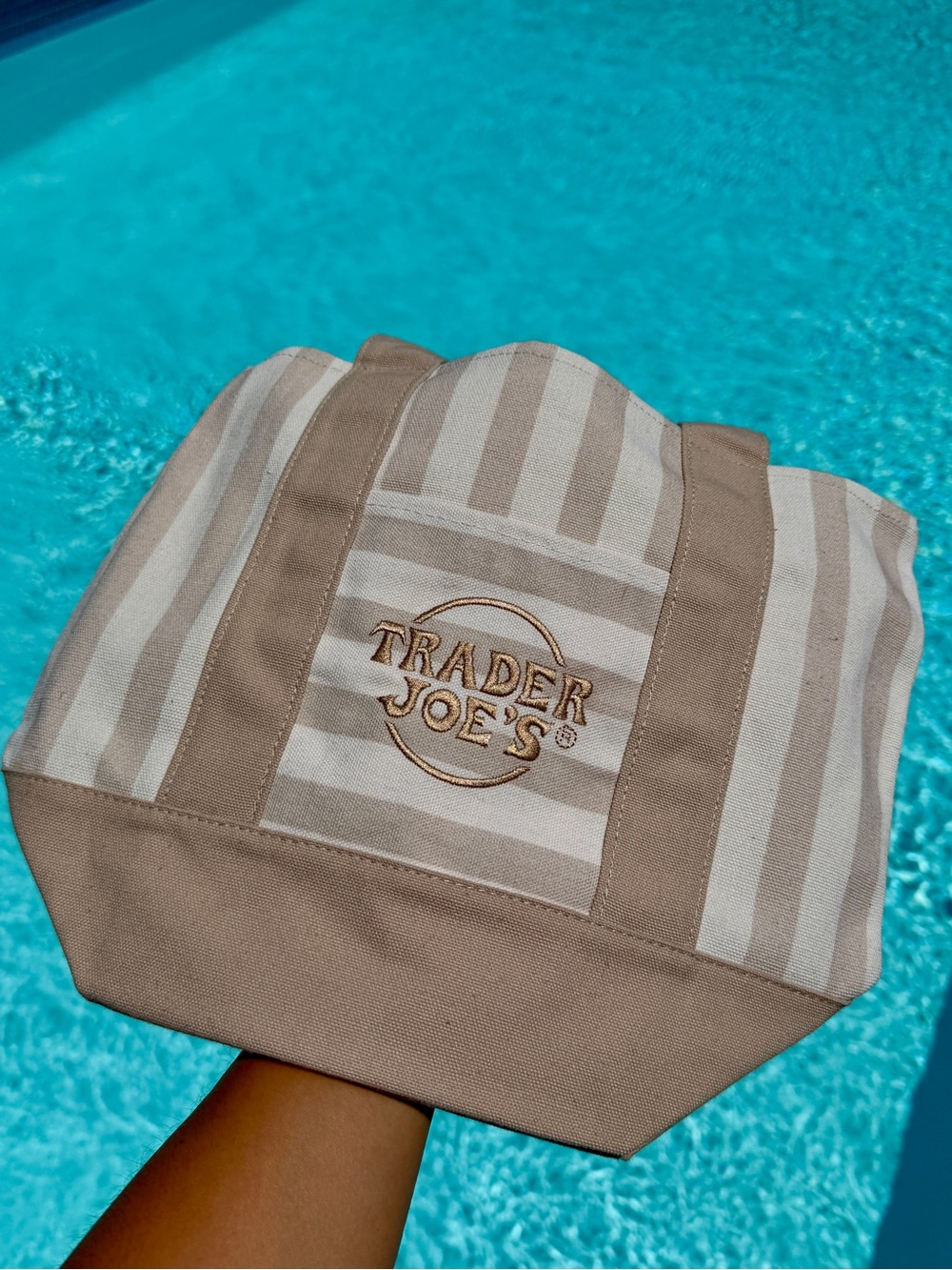 NEW W TAGS / Collector’s Trader Joe's Pastel Striped Mini Tote - Beige & White